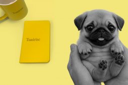 Bí deas leis na ‘Gaeilge-curious’ mar ní don Nollaig amháin an teanga, róbóghadhar agus AI