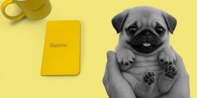 Bí deas leis na ‘Gaeilge-curious’ mar ní don Nollaig amháin an teanga, róbóghadhar agus AI