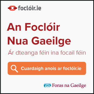 Foras na Gaeilge