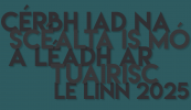 Cérbh iad na scéalta is mó ó shaol na Gaeilge agus na Gaeltachta a léadh ar Tuairisc le linn 2025? (20 go dtí 11)