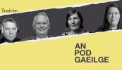 ‘Is cuimhin liom turcaithe na Nollag ag siúl timpeall leithreas na bhfear’