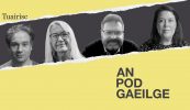 AN POD GAEILGE: Na leabhair Ghaeilge is fearr don stoca Nollag…