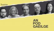 Cé hé Gael na bliana? Buaicphointí na Gaeilge in 2026 roghnaithe le cabhair ó ghiúiré an Antartaigh