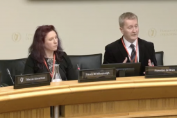 ‘Ní hé cealú na litríochta réiteach na ndeacrachtaí le teagasc na Gaeilge’