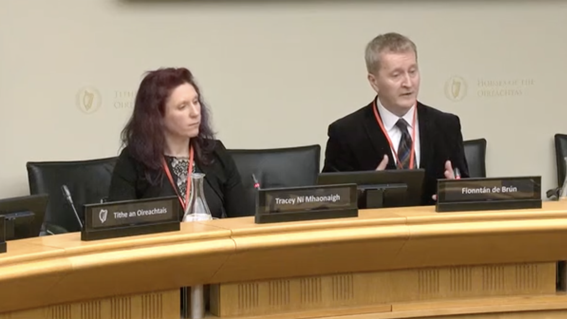 ‘Ní hé cealú na litríochta réiteach na ndeacrachtaí le teagasc na Gaeilge’