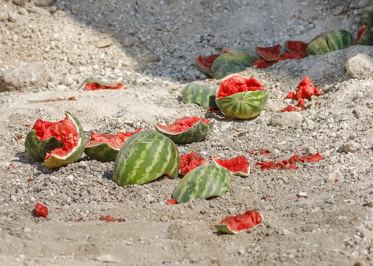 MIONLÉIRMHEAS: Seasamh á ghlacadh ar an mBruach Thiar…