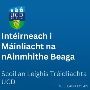UCD Intéirneach i Máinliacht na nAinmhithe Beaga 300 0126
