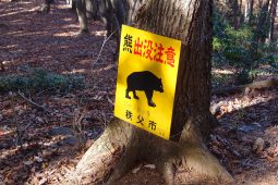 Ag déanamh a chúraim ar a shuaimhneas i leithreas poiblí a bhí sé nuair a léim béar mór dubh air…