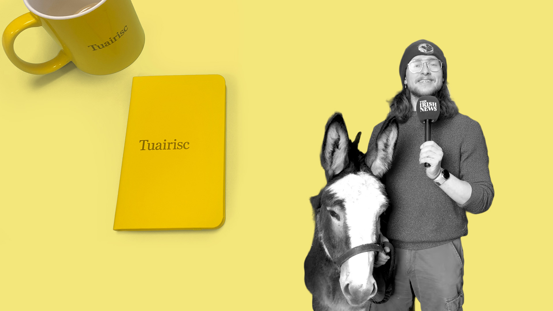 Preab-Ghaeltacht ar fheirm asail, ‘a safe place to try out our Irish skills’