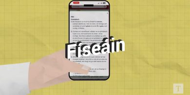 FÍSEÁN d’FHOGHLAIMEOIRÍ: Al Fresco, agallamh beirte agus bona fide – an foclóir Gaeilge nua