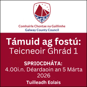 GCC Teicneoir brat 0226