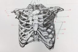 Curtha ag crith ag ‘Leabhar na gCnámh’