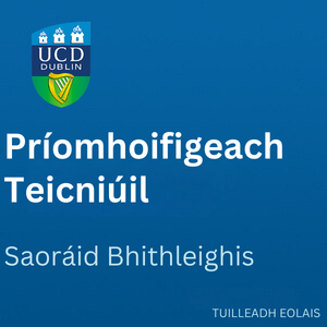 UCD Príomhoifigeach Teicniúil 300 0226