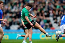 Tá craobhacha seo na meánscol neadaithe i mo chroí le blianta