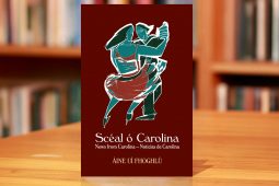 Is fiú gach braon aoibhnis is iontais a thál go mall is go milis as filíocht Áine Uí Fhoghlú