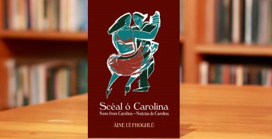 Is fiú gach braon aoibhnis is iontais a thál go mall is go milis as filíocht Áine Uí Fhoghlú