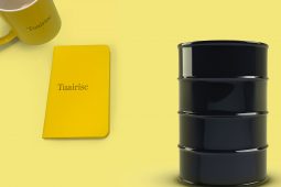 ‘Foclaibh diamhra dorcha dothuisceana’/ praghas an pheitril