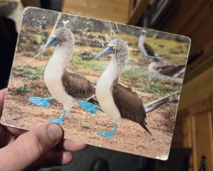 125 lá a thóg sé ar an gcárta poist gan stampa mo theachín a bhaint amach