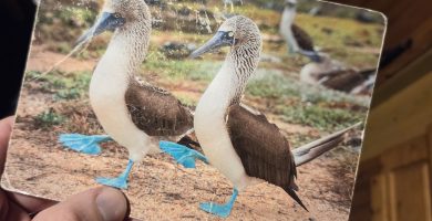 125 lá a thóg sé ar an gcárta poist gan stampa mo theachín a bhaint amach