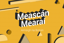FOGHLAIMEOIRÍ: Meascán Mearaí