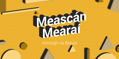 FOGHLAIMEOIRÍ: Meascán Mearaí