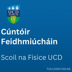 UCD Cúntóir Feidhmiúcháin 300 0326