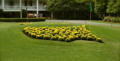 Ronald Reagan, Ol’ Blue agus gialla Augusta