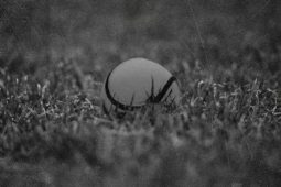 An cheist is tábhachtaí faoi Dhaonáireamh 1926 – cé a bhí ag imirt an lá sin?