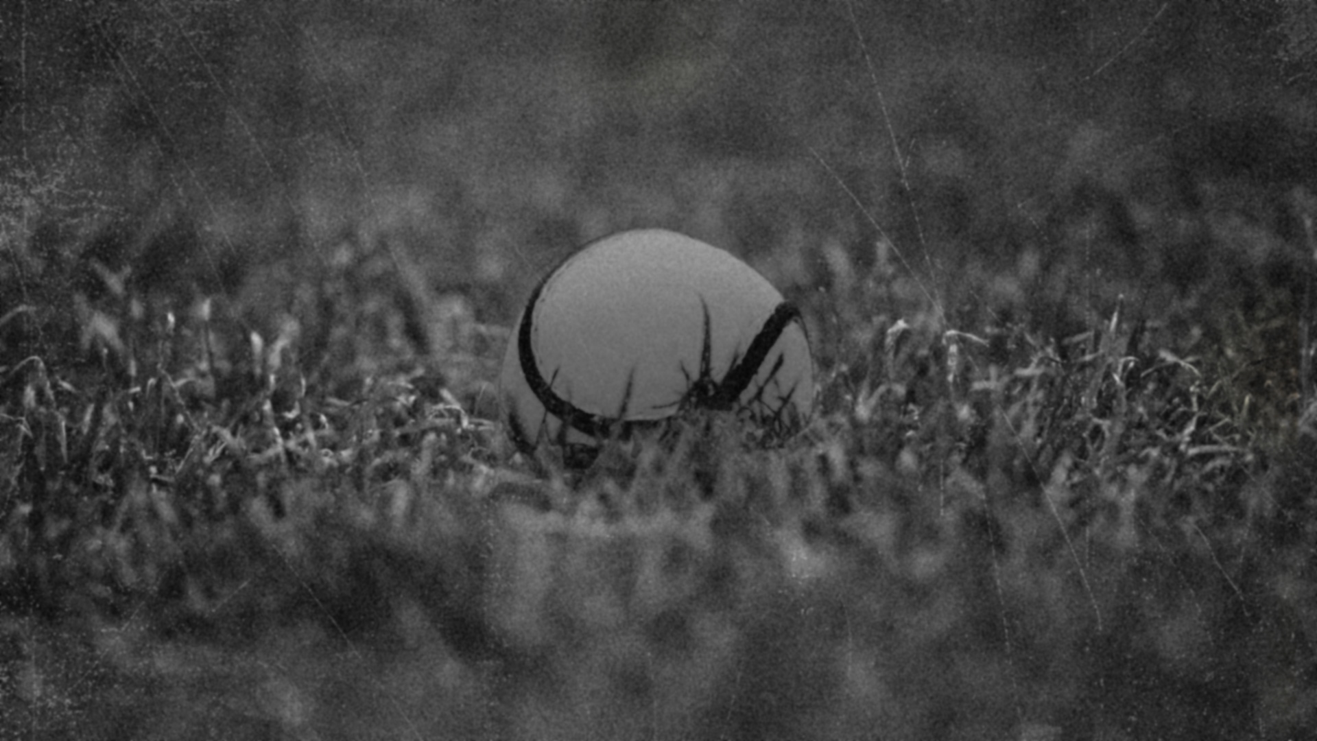 An cheist is tábhachtaí faoi Dhaonáireamh 1926 – cé a bhí ag imirt an lá sin?