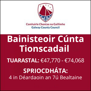 Mick Hosey Bainisteoir Cúnta