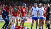 An lasair sa bharrach i gcónaí i gCúige Mumhan agus Cúige Laighean