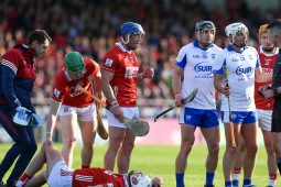 An lasair sa bharrach i gcónaí i gCúige Mumhan agus Cúige Laighean