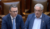 Bac ar pháistí ó thuaidh féachaint ar an leagan Gaeilge de ‘Bluey’ pléite sa Dáil