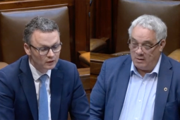 Bac ar pháistí ó thuaidh féachaint ar an leagan Gaeilge de ‘Bluey’ pléite sa Dáil