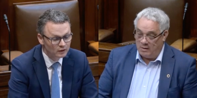 Bac ar pháistí ó thuaidh féachaint ar an leagan Gaeilge de ‘Bluey’ pléite sa Dáil