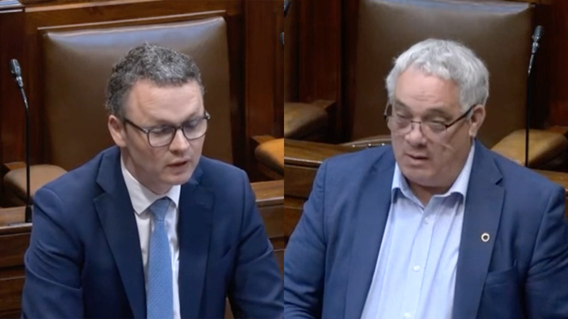 Bac ar pháistí ó thuaidh féachaint ar an leagan Gaeilge de ‘Bluey’ pléite sa Dáil