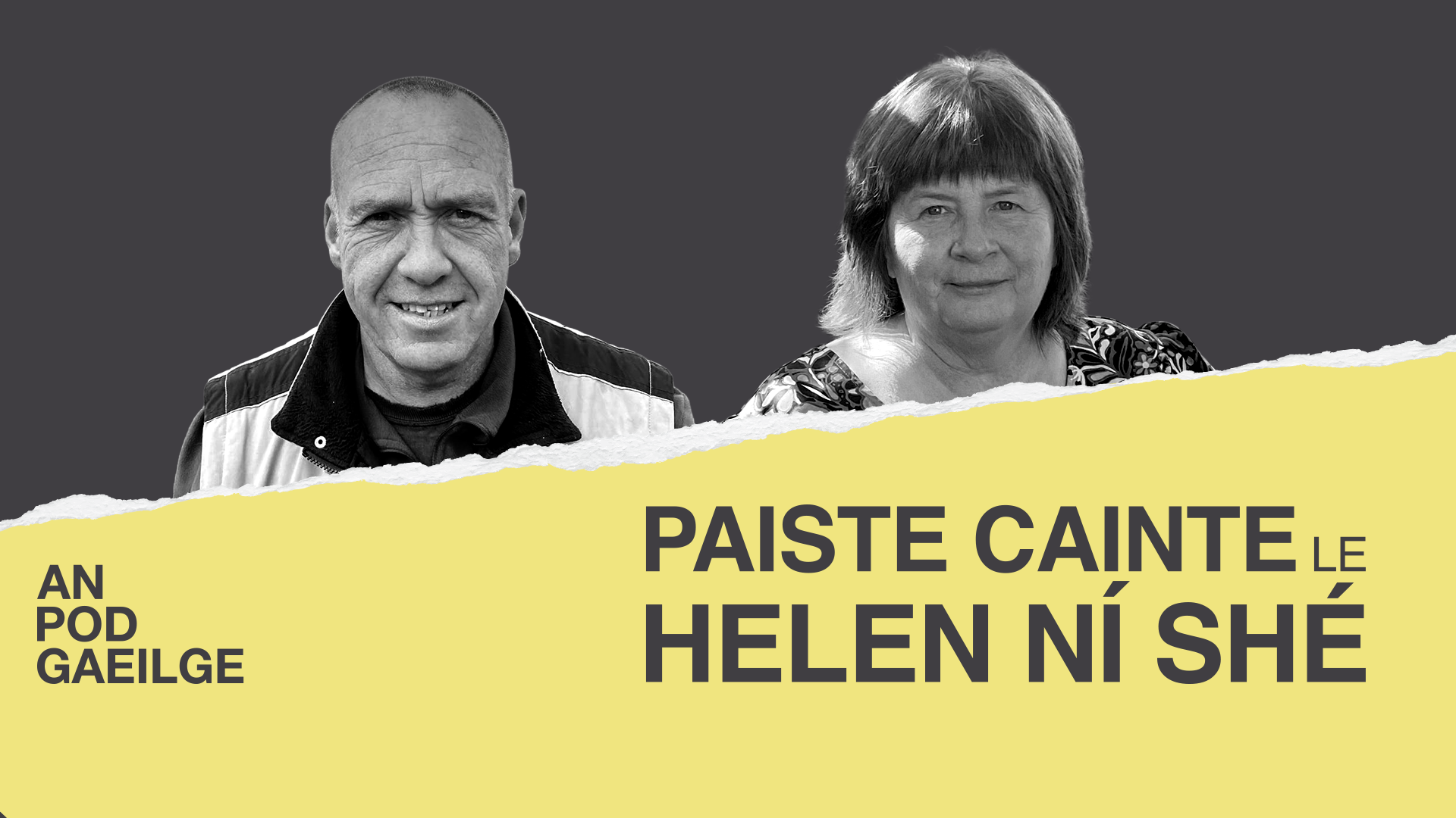Paiste cainte ag Helen Ní Shé le…Ciarán Feiritéar: ‘Cheannaíos ‘Tomás’ ag auction i Sasana, agus níor dhein sé faic riamh dom!’