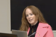 ‘Táim ag crith le frustrachas’ – fearg i measc polaiteoirí faoin easpa dul chun cinn maidir le hoideachas lán-Ghaeilge