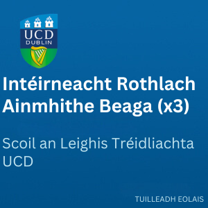 UCD Intéirneacht Rothlach Ainmhithe Beaga (x3) 300 0526