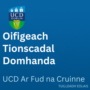 UCD Oifigeach Tionscadal Domhanda 300 0626