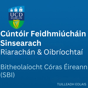 UCD Cúntóir Feidhmiúcháin Sinsearach 300 0626