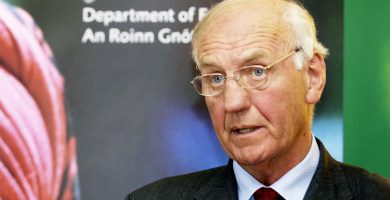 An t-iar-aire rialtais David Andrews ar shlí na fírinne