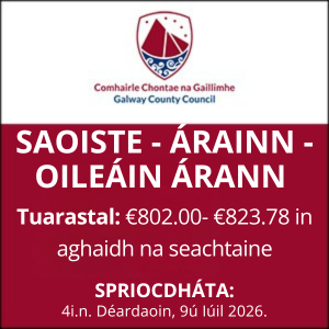 GCC SAOISTE - ÁRAINN brat 0626