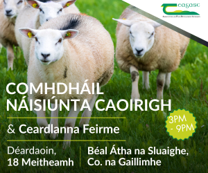 Teagasc Sheep Conference 300 0626