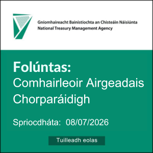 NTMA Comhairleoir Airgeadais Chorparáidigh 300 0626