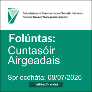 NTMA Cuntasóir Airgeadais 300 0626