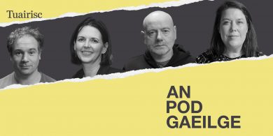 ‘Tá sé ar nós an scannáin ‘Fight Club’, tá an rialtas á bpuinseáil féin san éadan an t-am uilig’