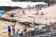Glac sos agus tabhair faoi deara an áilleacht atá sna rudaí beaga