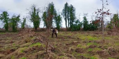 GNÉ-ALT FÓGRAÍOCHTA: Mol Longfoirt i gCroílár Mhéadú Comhairleachta Náisiúnta Comhshaoil