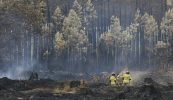 Loscadh is lot déanta ag falscaithe sa Fhrainc agus sa Spáinn
